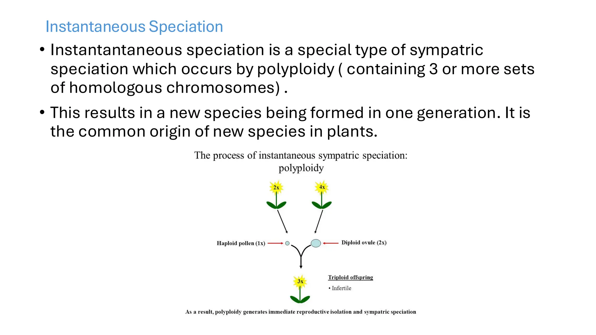 Instantaneous Speciation
• Instantantaneous speciation is a special type of sympatric
speciation which occurs by polyploidy ( containing 3 or more sets
of homologous chromosomes) .
• This results in a new species being formed in one generation. It is
the common origin of new species in plants.
 
