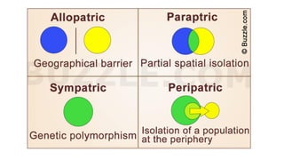 About modes of Speciation and examples and factors influencing it | PDF