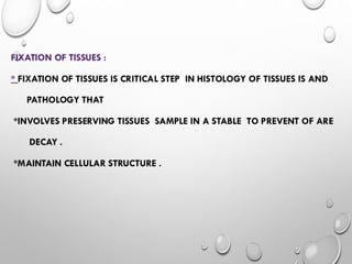 Fixative Dissection HISTOPATHOLOGY FIXATION OF TISSUES CLASSIFICATION AND PROPERTIES OF ...