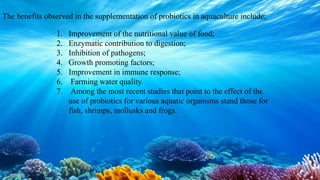 Probiotic bacteria and their importance in aquaculture | PPTX