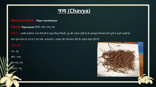 Deepaniya Mahakashaya: Revitalizing Digestion through Ayurveda. | PPTX