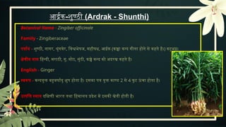 Deepaniya Mahakashaya: Revitalizing Digestion through Ayurveda. | PPTX