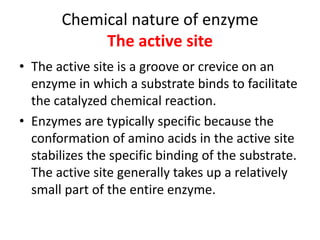 Chemical nature of enzyme
The active site
• The active site is a groove or crevice on an
enzyme in which a substrate binds to facilitate
the catalyzed chemical reaction.
• Enzymes are typically specific because the
conformation of amino acids in the active site
stabilizes the specific binding of the substrate.
The active site generally takes up a relatively
small part of the entire enzyme.
 