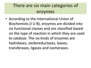 There are six main categories of
enzymes
• According to the International Union of
Biochemists (I U B), enzymes are divided into
six functional classes and are classified based
on the type of reaction in which they are used
to catalyze. The six kinds of enzymes are
hydrolases, oxidoreductases, lyases,
transferases, ligases and isomerases.
 