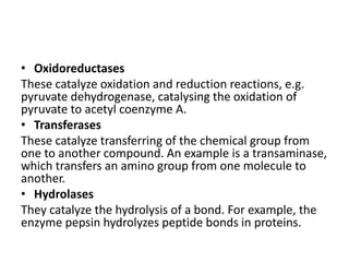 • Oxidoreductases
These catalyze oxidation and reduction reactions, e.g.
pyruvate dehydrogenase, catalysing the oxidation of
pyruvate to acetyl coenzyme A.
• Transferases
These catalyze transferring of the chemical group from
one to another compound. An example is a transaminase,
which transfers an amino group from one molecule to
another.
• Hydrolases
They catalyze the hydrolysis of a bond. For example, the
enzyme pepsin hydrolyzes peptide bonds in proteins.
 