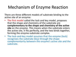 Mechanism of Enzyme Reaction
There are three different models of substrate binding to the
active site of an enzyme:
• The first model called the lock and key model, proposes
that the shape and chemistry of the substrate are
complementary to the shape and chemistry of the active
site on the enzyme. This means when the substrate enters
the active site, it fits perfectly, and the two binds together,
forming the enzyme-substrate complex.
• The lock-and-key model assumes that the enzyme (lock)
recognizes the substrate (key) through the shape
complementarity between the enzyme’s active site and the
substrate.
 