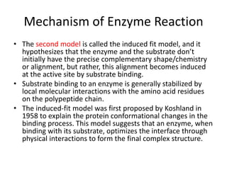 Mechanism of Enzyme Reaction
• The second model is called the induced fit model, and it
hypothesizes that the enzyme and the substrate don’t
initially have the precise complementary shape/chemistry
or alignment, but rather, this alignment becomes induced
at the active site by substrate binding.
• Substrate binding to an enzyme is generally stabilized by
local molecular interactions with the amino acid residues
on the polypeptide chain.
• The induced-fit model was first proposed by Koshland in
1958 to explain the protein conformational changes in the
binding process. This model suggests that an enzyme, when
binding with its substrate, optimizes the interface through
physical interactions to form the final complex structure.
 