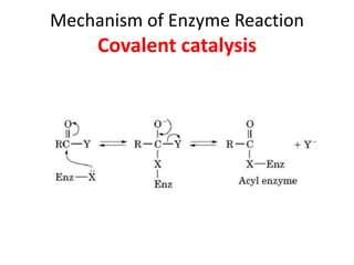 Mechanism of Enzyme Reaction
Covalent catalysis
 