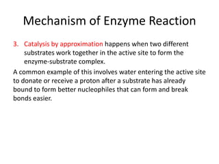 Mechanism of Enzyme Reaction
3. Catalysis by approximation happens when two different
substrates work together in the active site to form the
enzyme-substrate complex.
A common example of this involves water entering the active site
to donate or receive a proton after a substrate has already
bound to form better nucleophiles that can form and break
bonds easier.
 