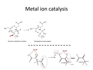Metal ion catalysis
 