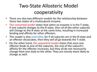 Two-State Allosteric Model
cooperativity
• There are also two different models for the relationship between
these two states of a multisubunit enzyme.
• The concerted model states that when an enzyme is in the T-state,
if one subunit changes to the R-state, then all of the other subunits
will change to the R-state at the same time, resulting in increased
binding and affinity for other effectors.
• This model is also reversible, for if all subunits are in the R-state and
an effector dissociates, then they will all go towards the T-state.
• On the other hand, the sequential model states that once one
effector binds to one of the subunits, the rest of the subunit’s
affinity for the effector increases, but they all do not necessarily
change from one state to the other. They are merely more likely to
change as well.
 