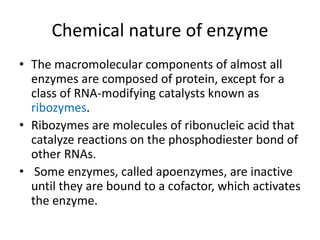 Chemical nature of enzyme
• The macromolecular components of almost all
enzymes are composed of protein, except for a
class of RNA-modifying catalysts known as
ribozymes.
• Ribozymes are molecules of ribonucleic acid that
catalyze reactions on the phosphodiester bond of
other RNAs.
• Some enzymes, called apoenzymes, are inactive
until they are bound to a cofactor, which activates
the enzyme.
 