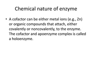 Chemical nature of enzyme
• A cofactor can be either metal ions (e.g., Zn)
or organic compounds that attach, either
covalently or noncovalently, to the enzyme.
The cofactor and apoenzyme complex is called
a holoenzyme.
 