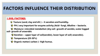 FACTORS INFLUENCE THEIR DISTRIBUTION
1.Soil Factors:
Texture (sand, clay and slit ) – it aeration and humidity.
PH ( very important for enzyme activity )Acid- fungi, Alkaline – bacteria.
Moisture ( microbial metabolism )dry soil- growth of aerobic, water logged
soil- growth of anaerobic
Aeration – upper layer of soil(aerobic), lower layer of soil( anaerobic).
Temperature (20-30°c)
Organic matter( carbon )- high humus.
 