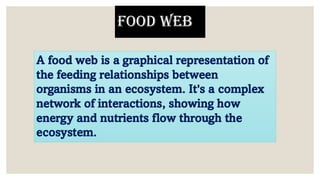 Food web
A food web is a graphical representation of
the feeding relationships between
organisms in an ecosystem. It's a complex
network of interactions, showing how
energy and nutrients flow through the
ecosystem.
 