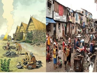 Human settlements std 7 nothing reserved