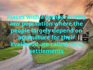 Places with a comparatively
low population where the
people largely depend on
agriculture for their
livelihood are called rural
settlements
 