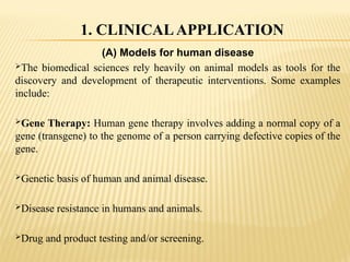 (A) Models for human disease
The biomedical sciences rely heavily on animal models as tools for the
discovery and development of therapeutic interventions. Some examples
include:
Gene Therapy: Human gene therapy involves adding a normal copy of a
gene (transgene) to the genome of a person carrying defective copies of the
gene.
Genetic basis of human and animal disease.
Disease resistance in humans and animals.
Drug and product testing and/or screening.
1. CLINICALAPPLICATION
 