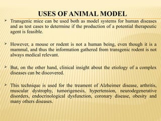  Transgenic mice can be used both as model systems for human diseases
and as test cases to determine if the production of a potential therapeutic
agent is feasible.
 However, a mouse or rodent is not a human being, even though it is a
mammal, and thus the information gathered from transgenic rodent is not
always medical relevant.
 But, on the other hand, clinical insight about the etiology of a complex
diseases can be discovered.
 This technique is used for the treament of Alzheimer disease, arthritis,
muscular dystrophy, tumorigenesis, hypertension, neurodegenerative
disorders, endocrinological dysfunction, coronary disease, obesity and
many others diseases.
USES OF ANIMAL MODEL
 