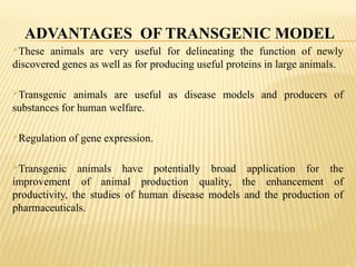 ADVANTAGES OF TRANSGENIC MODEL
These animals are very useful for delineating the function of newly
discovered genes as well as for producing useful proteins in large animals.
Transgenic animals are useful as disease models and producers of
substances for human welfare.
Regulation of gene expression.
Transgenic animals have potentially broad application for the
improvement of animal production quality, the enhancement of
productivity, the studies of human disease models and the production of
pharmaceuticals.
 