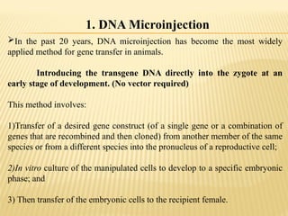 In the past 20 years, DNA microinjection has become the most widely
applied method for gene transfer in animals.
Introducing the transgene DNA directly into the zygote at an
early stage of development. (No vector required)
This method involves:
1)Transfer of a desired gene construct (of a single gene or a combination of
genes that are recombined and then cloned) from another member of the same
species or from a different species into the pronucleus of a reproductive cell;
2)In vitro culture of the manipulated cells to develop to a specific embryonic
phase; and
3) Then transfer of the embryonic cells to the recipient female.
1. DNA Microinjection
 