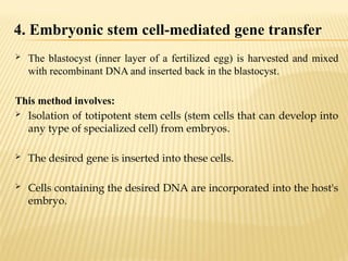  The blastocyst (inner layer of a fertilized egg) is harvested and mixed
with recombinant DNA and inserted back in the blastocyst.
This method involves:
 Isolation of totipotent stem cells (stem cells that can develop into
any type of specialized cell) from embryos.
 The desired gene is inserted into these cells.
 Cells containing the desired DNA are incorporated into the host's
embryo.
4. Embryonic stem cell-mediated gene transfer
 