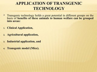  Transgenic technology holds a great potential in different groups on the
basis of benefits of these animals to human welfare can be grouped
into areas:
1. Clinical Application,
2. Agricultural application,
3. Industrial application, and
4. Transgenic model (Mice).
APPLICATION OF TRANSGENIC
TECHNOLOGY
 
