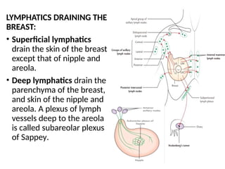 Breast functional anatomy and physiology..pptx