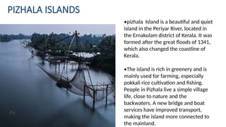 PIZHALA ISLANDS
•pizhala Island is a beautiful and quiet
island in the Periyar River, located in
the Ernakulam district of Kerala. It was
formed after the great floods of 1341,
which also changed the coastline of
Kerala.
•The island is rich in greenery and is
mainly used for farming, especially
pokkali rice cultivation and fishing.
People in Pizhala live a simple village
life, close to nature and the
backwaters. A new bridge and boat
services have improved transport,
making the island more connected to
the mainland.
 