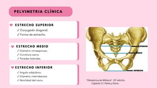 Pelvimetry Method Comprehensive Overview of Pelvimetry in Obstetrics: Techniques and ...