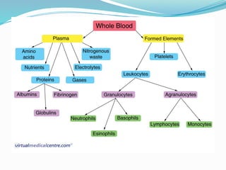 Comprehensive Overview of Blood Physiology and Functions in the Human ...