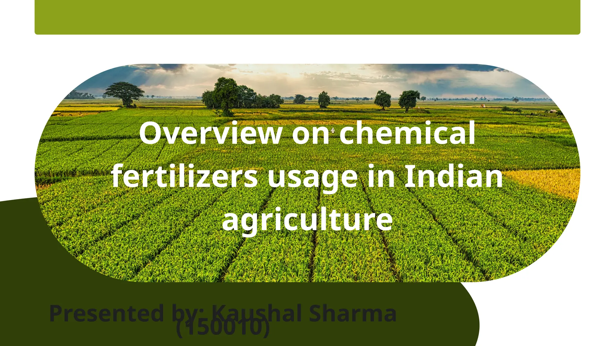 Overview of chemical fertilizers usage of india agriculture | PPTX