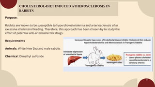 Screening models of anti atherosclerosis | PDF