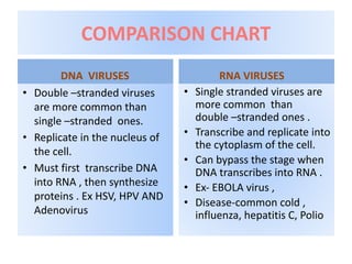 Differences Between DNA and RNA Viruses Explored | PDF