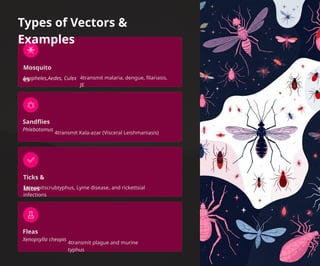 Vector-Borne Diseases and Their Control Programs | PPTX
