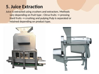 Comprehensive Overview and Manufacturing Process of Real Mix Fruit ...