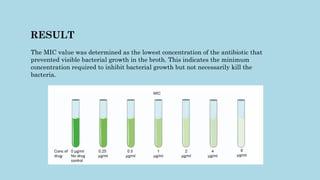 Minimum Extraction Test Minimum Inhibitory Concentration (MIC) and Minimum Bactericidal ...