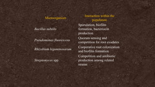Microorganism
Interaction within the
population
Bacillus subtilis
Sporulation, biofilm
formation, bacteriocin
production
Pseudomonas fluorescens
Quorum sensing and
competition for root exudates
Rhizobium leguminosarum
Cooperative root colonization
and biofilm formation
Streptomyces spp.
Competition and antibiotic
production among related
strains
 