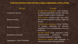 Subtopic Example
Cooperative growth
Pseudomonas aeruginosa cells cooperate
by sharing extracellular enzymes that help
degrade complex organic compounds.
Quorum sensing
Vibrio fischeri produces light only when
the bacterial population reaches a high cell
density.
Biofilm formation
Pseudomonas aeruginosa forms biofilms
on surfaces, protecting the bacterial
community from environmental stress and
antibiotics.
Sporulation in bacteria
Bacillus subtilis forms endospores under
nutrient-limited conditions through
coordinated population signaling.
Aggregation / colony formation
Myxococcus xanthus cells aggregate to
form fruiting bodies during starvation.
POSITIVE INTERACTIONS WITHIN A SINGLE MICROBIAL POPULATION
 