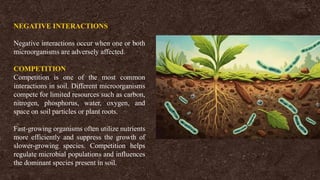 NEGATIVE INTERACTIONS
Negative interactions occur when one or both
microorganisms are adversely affected.
COMPETITION
Competition is one of the most common
interactions in soil. Different microorganisms
compete for limited resources such as carbon,
nitrogen, phosphorus, water, oxygen, and
space on soil particles or plant roots.
Fast-growing organisms often utilize nutrients
more efficiently and suppress the growth of
slower-growing species. Competition helps
regulate microbial populations and influences
the dominant species present in soil.
 
