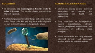 PARASITISM
• In parasitism, one microorganism benefits while the
other is harmed. The parasite obtains nutrients from
the host organism.
• Certain fungi parasitize other fungi, and some bacteria
infect fungal cells. The host may show reduced growth
or may eventually die due to the parasitic attack.
ECOLOGICAL SIGNIFICANCE
• Interactions among diverse microbial
populations are essential for
maintaining soil health and
productivity.
• They contribute to decomposition,
nutrient mineralization, nitrogen
fixation, phosphorus solubilization, and
suppression of soil-borne plant
pathogens.
• These interactions also help maintain
microbial diversity and ecological
balance within the soil environment.
 