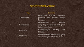 Type Example
Amensalism
Penicillium species producing
penicillin that inhibits nearby
bacteria.
Competition
Pseudomonas and Bacillus
competing for nutrients and space
in the rhizosphere.
Parasitism
Bacteriophages infecting soil
bacteria.
Predation
Bdellovibrio bacteriovorus preying
on Gram-negative bacteria in soil.
NEGATIVE INTERACTIONS
 