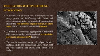 POPULATION WITHIN BIOFILMS
INTRODUCTION
• In natural soil environments, microorganisms are
rarely present as free-floating cells. Most soil
microorganisms exist in organized communities
attached to soil particles, organic matter, or plant
roots. These communities are called biofilms.
• A biofilm is a structured aggregation of microbial
cells surrounded by a self-produced extracellular
polymeric substance (EPS) matrix.
• The matrix consists mainly of polysaccharides,
proteins, lipids, and extracellular DNA, which hold
the cells together and attach them firmly to a
surface.
 