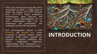 INTRODUCTION
• Soil is one of the most biologically active
ecosystems on Earth. A single gram of
fertile soil contains 10^8–10^9 bacterial
cells, 10^5–10^6 fungal propagules,
actinomycetes, algae, protozoa, and
viruses. These microorganisms do not
exist independently; they live as
populations and communities and
constantly interact with one another.
• Soil microorganisms interact in both
beneficial and harmful ways. Some
cooperate to degrade complex organic
materials, while others compete for
nutrients or produce antibiotics that
inhibit neighboring organisms.
Understanding these interactions is a
central concept in soil microbial ecology.
 