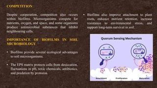 COMPETITION
Despite cooperation, competition also occurs
within biofilms. Microorganisms compete for
nutrients, oxygen, and space, and some organisms
produce antimicrobial substances that inhibit
neighbouring cells.
IMPORTANCE OF BIOFILMS IN SOIL
MICROBIOLOGY
• Biofilms provide several ecological advantages
to soil microorganisms.
• The EPS matrix protects cells from desiccation,
fluctuations in pH, toxic chemicals, antibiotics,
and predation by protozoa.
• Biofilms also improve attachment to plant
roots, enhance nutrient retention, increase
resistance to environmental stress, and
support long-term survival in soil.
 
