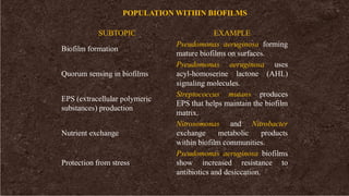 SUBTOPIC EXAMPLE
Biofilm formation
Pseudomonas aeruginosa forming
mature biofilms on surfaces.
Quorum sensing in biofilms
Pseudomonas aeruginosa uses
acyl-homoserine lactone (AHL)
signaling molecules.
EPS (extracellular polymeric
substances) production
Streptococcus mutans produces
EPS that helps maintain the biofilm
matrix.
Nutrient exchange
Nitrosomonas and Nitrobacter
exchange metabolic products
within biofilm communities.
Protection from stress
Pseudomonas aeruginosa biofilms
show increased resistance to
antibiotics and desiccation.
POPULATION WITHIN BIOFILMS
 