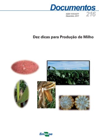 Documentos
216
Dez dicas para Produção de Milho
ISSN 1518-4277
Dezembro, 2017
 