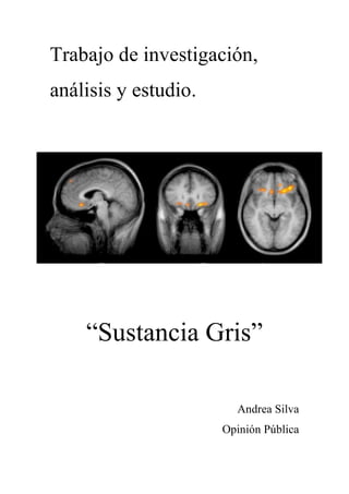 Trabajo de investigación,
análisis y estudio.




    “Sustancia Gris”

                        Andrea Silva
                      Opinión Pública
 
