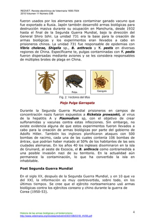 REDVET. Revista electrónica de Veterinaria 1695-7504
2010 Volumen 11 Número 03B
Historia de las armas biológicas y el bioterrorismo
http://www.veterinaria.org/revistas/redvet/n030310B/031B_HV06.pdf
4
fueron usados por los alemanes para contaminar ganado vacuno que
fue exportado a Rusia. Japón también desarrolló armas biológicas para
destrucción masiva durante su ocupación en Manchuria, desde 1932
hasta el final de la Segunda Guerra Mundial, bajo la dirección del
General Shiro Ishii. La unidad 731 era la base para la creación de
armas biológicas y los experimentos eran llevados a cabo en
prisioneros chinos. La unidad 731 fue responsable de epidemias con
Vibrio cholerae, Shigella sp., B. anthracis y Y. pestis en diversas
regiones de China. Específicame te, pulgas contaminadas con Y. pestis
fueron dispersadas mediante aviones y se les considera responsables
de múltiples brotes de plaga en China.
Piojo Pulga Garrapata
Durante la Segunda Guerra Mundial prisioneros en campos de
concentración nazis fueron expuestos a Ricketsia prowazekii, al virus
de la hepatitis A y Plasmodium sp, con el objetivo de crear
sulfonamidas y vacunas contra estas infecciones. Sin embargo, no
existe evidencia alguna de que estos experimentos fueron llevados a
cabo para la creación de armas biológicas por parte del gobierno de
Adolfo Hitler. También los ingleses planificaron ataques con 500
bombas de racimo, cada una de las cuales contenía 106 bombas de
ántrax, que podrían haber matado al 50% de los habitantes de las seis
ciudades alemanas. En los años 40 los ingleses diseminaron en la isla
de Gruinard, al oeste de Escocia, el B. anthracis como contramedida a
una posible invasión nazi de su territorio. En la actualidad aún
permanece la contaminación, lo que ha convertido la isla en
inhabitable.
Post Segunda Guerra Mundial
En el siglo XX, después de la Segunda Guerra Mundial, y en 10 que va
del XXI, la información es muy controvertida, sobre todo, en los
últimos tiempos. Se cree que el ejército norteamericano usó armas
biológicas contra los ejércitos coreano y chino durante la guerra de
Corea (1950-53).
 