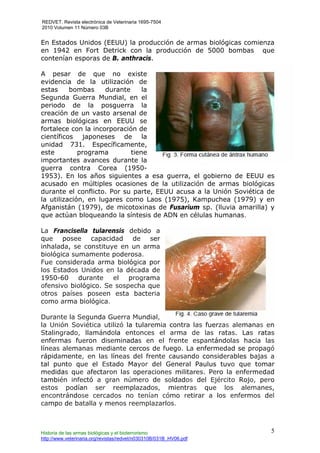 REDVET. Revista electrónica de Veterinaria 1695-7504
2010 Volumen 11 Número 03B
Historia de las armas biológicas y el bioterrorismo
http://www.veterinaria.org/revistas/redvet/n030310B/031B_HV06.pdf
5
En Estados Unidos (EEUU) la producción de armas biológicas comienza
en 1942 en Fort Detrick con la producción de 5000 bombas que
contenían esporas de B. anthracis.
A pesar de que no existe
evidencia de la utilización de
estas bombas durante la
Segunda Guerra Mundial, en el
periodo de la posguerra la
creación de un vasto arsenal de
armas biológicas en EEUU se
fortalece con la incorporación de
científicos japoneses de la
unidad 731. Específicamente,
este programa tiene
importantes avances durante la
guerra contra Corea (1950-
1953). En los años siguientes a esa guerra, el gobierno de EEUU es
acusado en múltiples ocasiones de la utilización de armas biológicas
durante el conflicto. Por su parte, EEUU acusa a la Unión Soviética de
la utilización, en lugares como Laos (1975), Kampuchea (1979) y en
Afganistán (1979), de micotoxinas de Fusarium sp. (lluvia amarilla) y
que actúan bloqueando la síntesis de ADN en células humanas.
La Francisella tularensis debido a
que posee capacidad de ser
inhalada, se constituye en un arma
biológica sumamente poderosa.
Fue considerada arma biológica por
los Estados Unidos en la década de
1950-60 durante el programa
ofensivo biológico. Se sospecha que
otros países poseen esta bacteria
como arma biológica.
Durante la Segunda Guerra Mundial,
la Unión Soviética utilizó la tularemia contra las fuerzas alemanas en
Stalingrado, llamándola entonces el arma de las ratas. Las ratas
enfermas fueron diseminadas en el frente espantándolas hacia las
líneas alemanas mediante cercos de fuego. La enfermedad se propagó
rápidamente, en las líneas del frente causando considerables bajas a
tal punto que el Estado Mayor del General Paulus tuvo que tomar
medidas que afectaron las operaciones militares. Pero la enfermedad
también infectó a gran número de soldados del Ejército Rojo, pero
estos podían ser reemplazados, mientras que los alemanes,
encontrándose cercados no tenían cómo retirar a los enfermos del
campo de batalla y menos reemplazarlos.
 